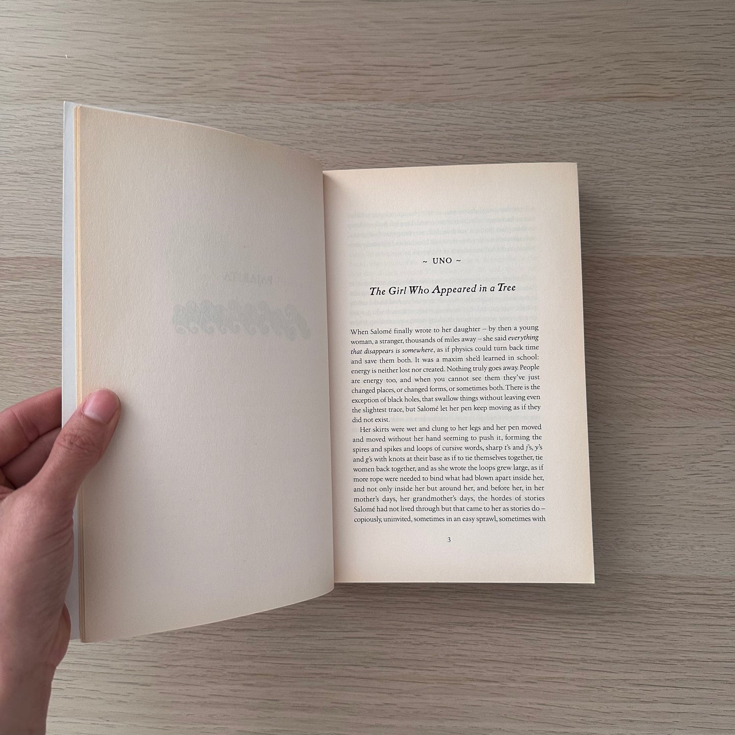 The Invisible Mountain | Paperback | Carolina De Rovertis