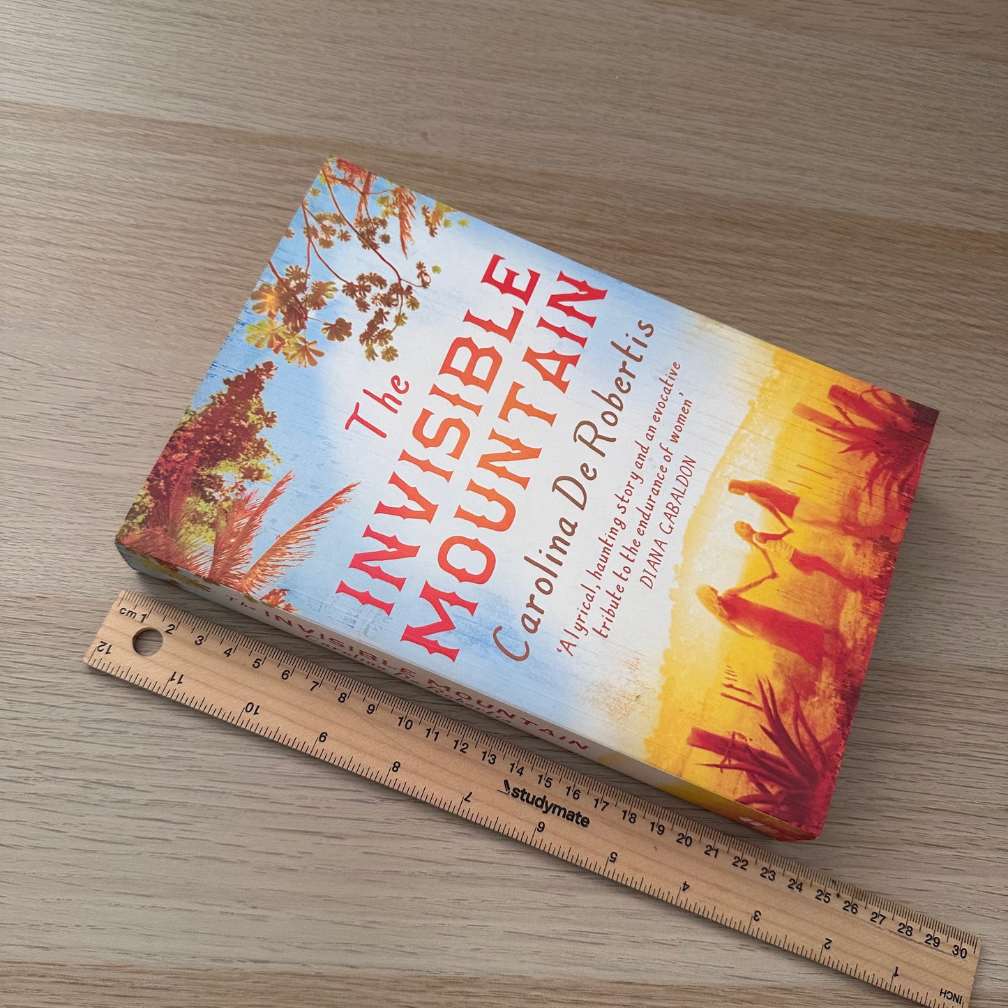 The Invisible Mountain | Paperback | Carolina De Rovertis
