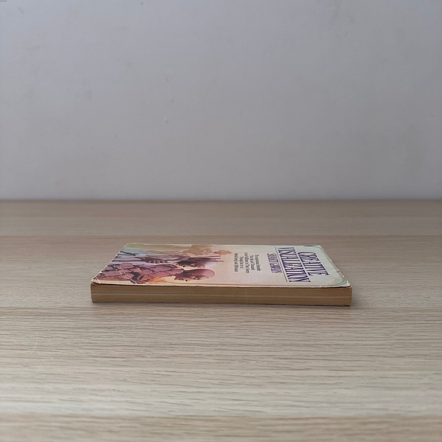 Creative Visualization | Shakti Gawain