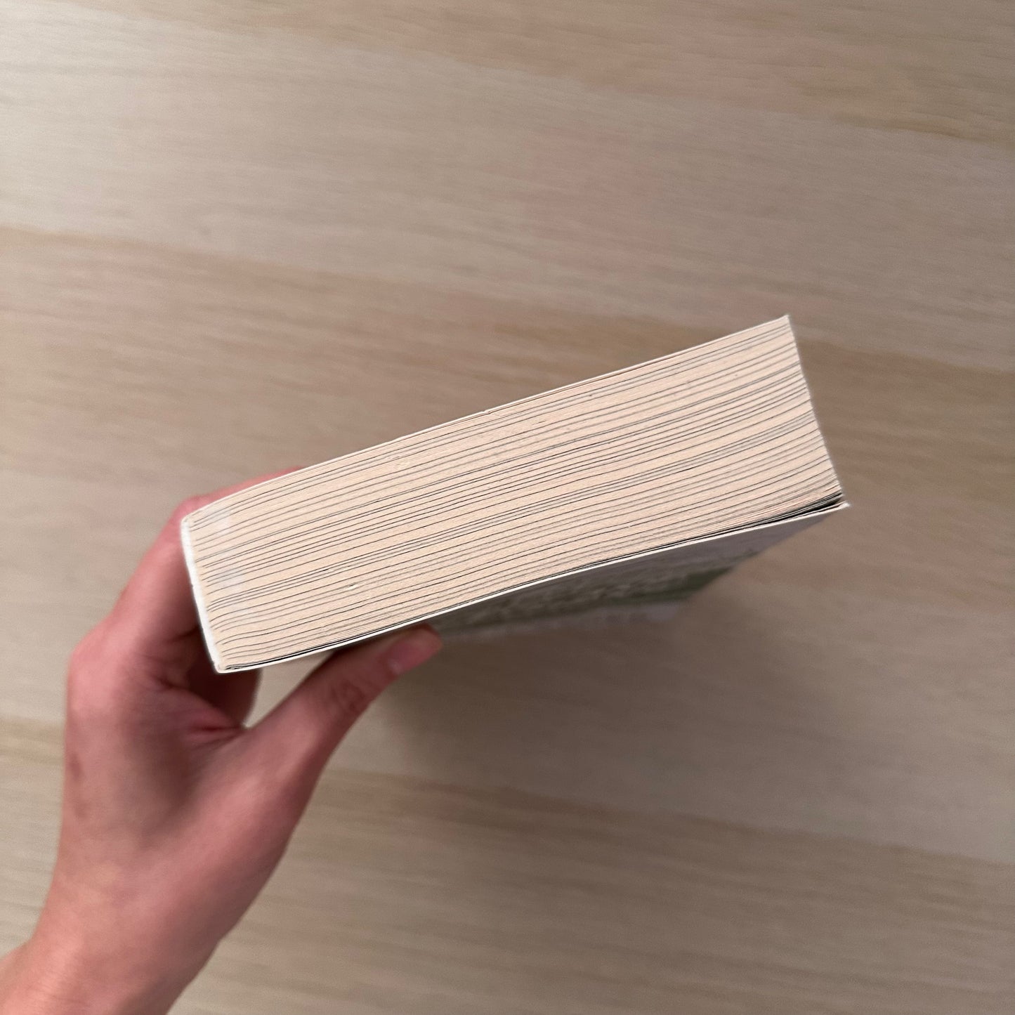 Terms and Conditions | Paperback | Lauren Asher