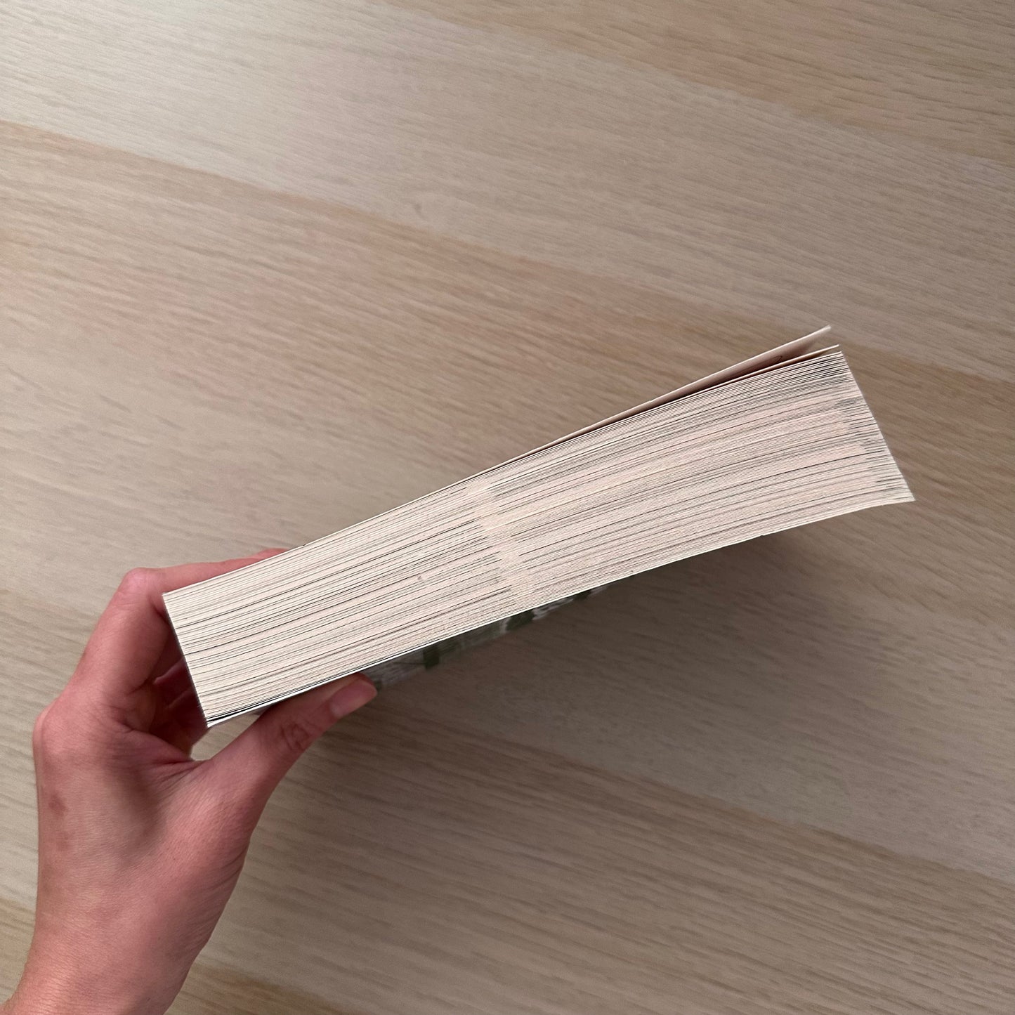 Terms and Conditions | Paperback | Lauren Asher