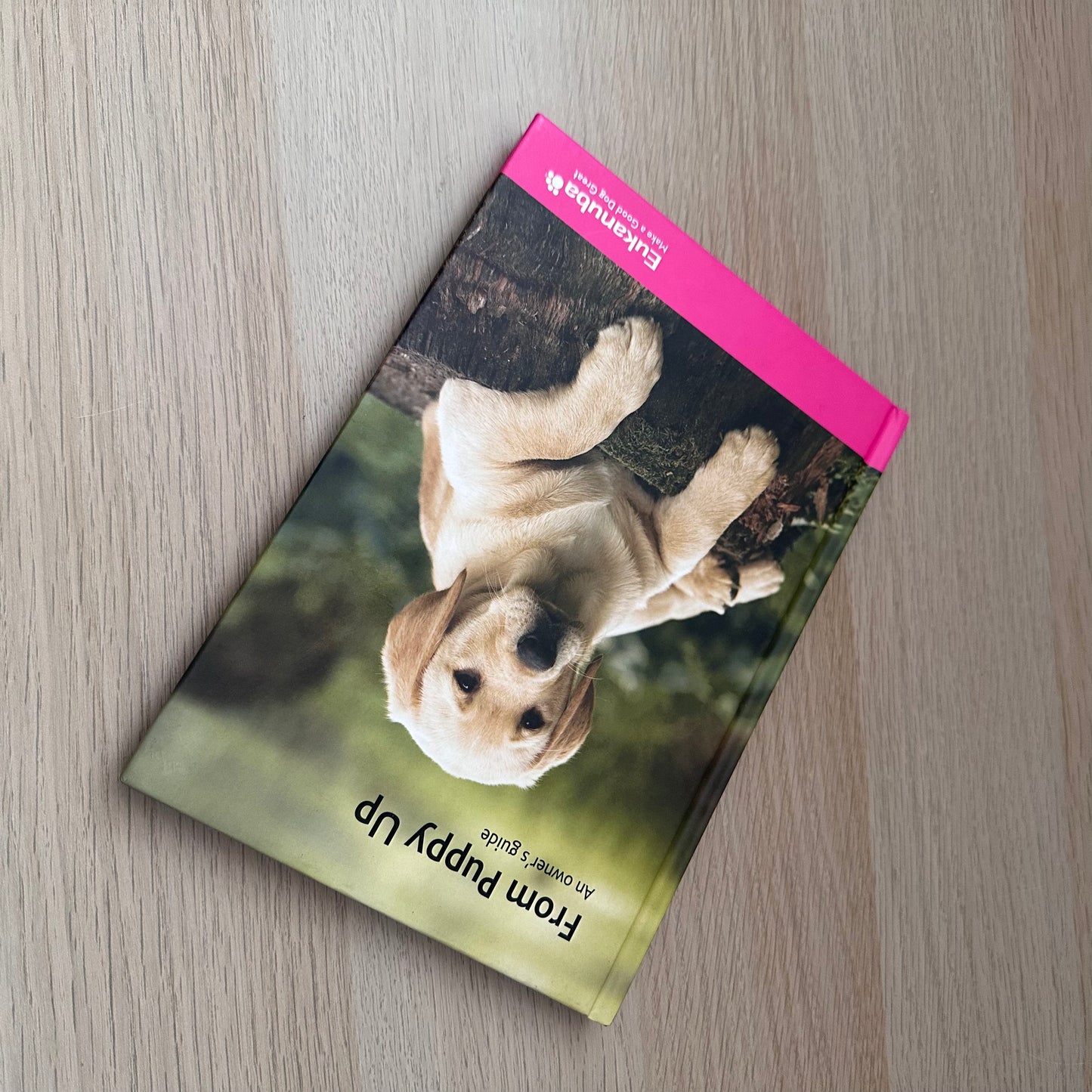 From Puppy Up: An Owner's Guide | Eukanuba