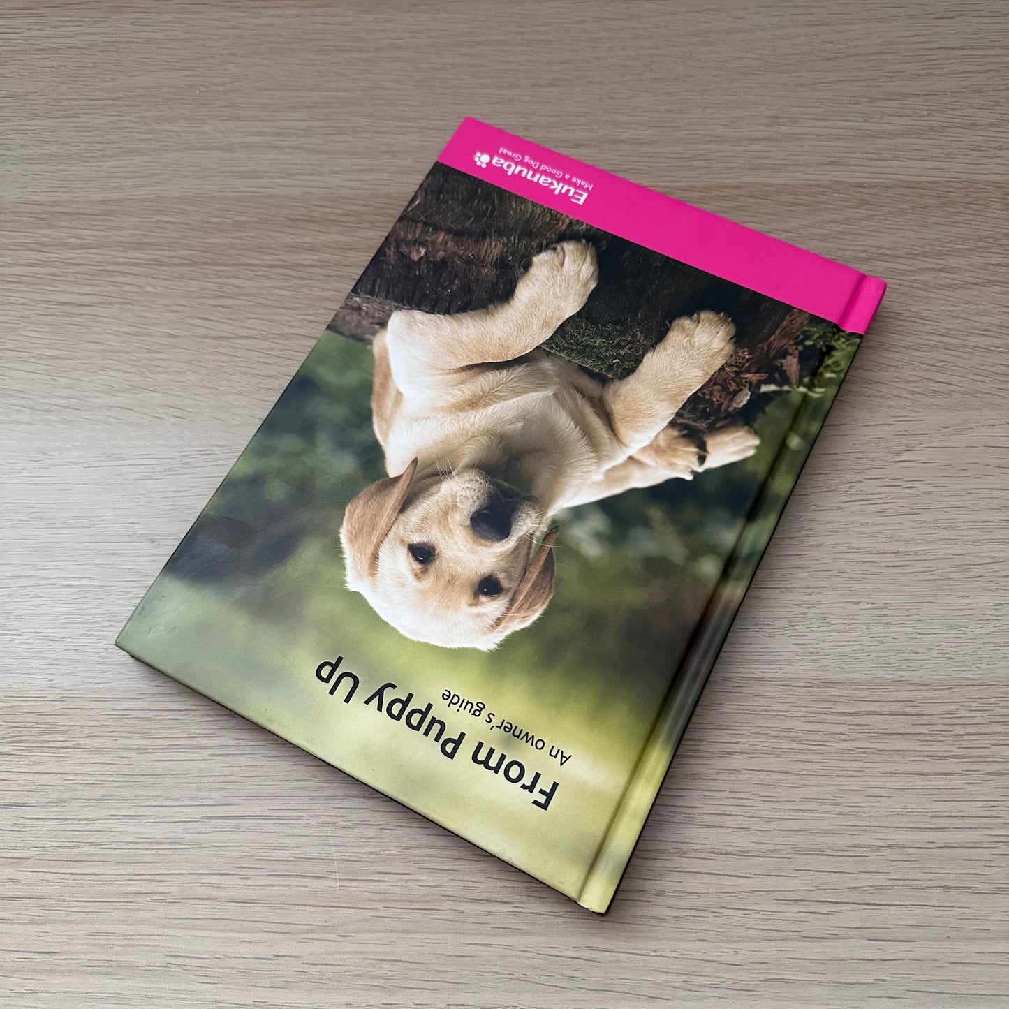 From Puppy Up: An Owner's Guide | Eukanuba