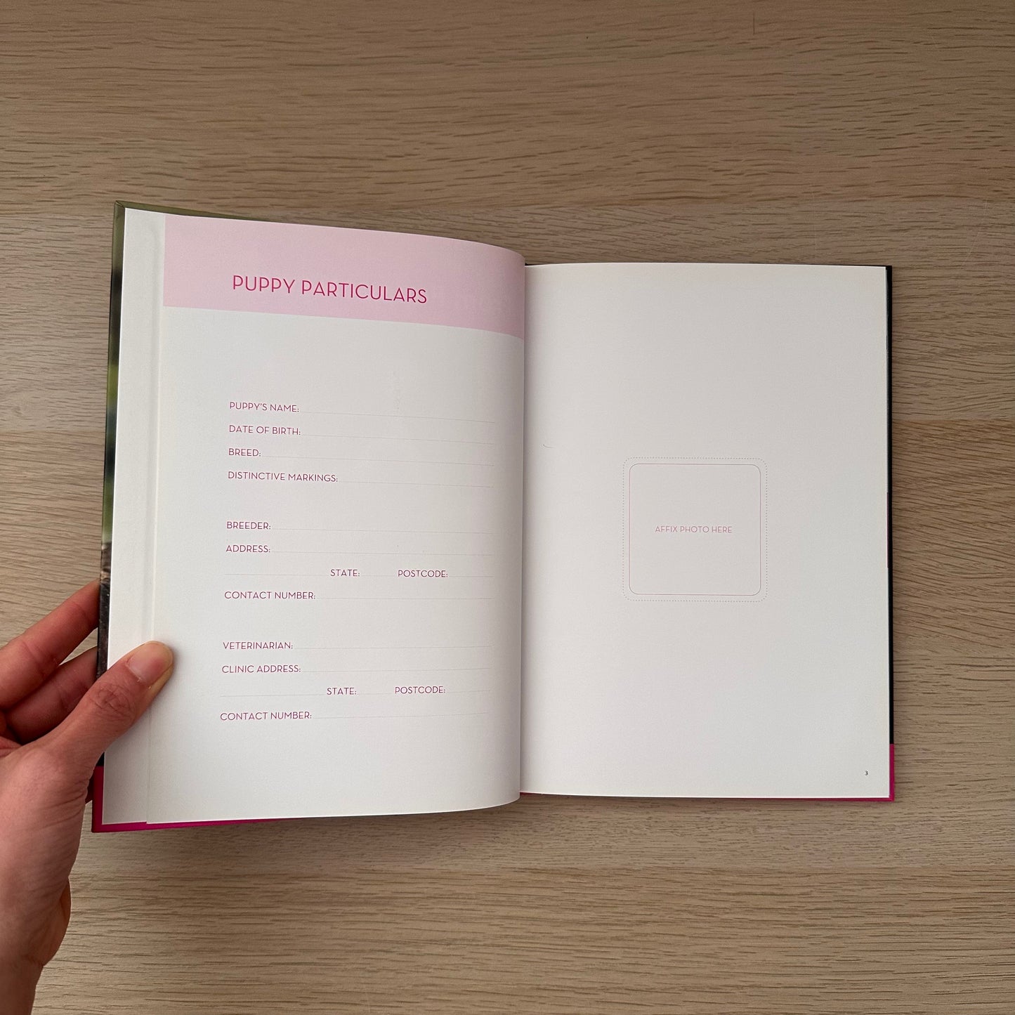 From Puppy Up: An Owner's Guide | Eukanuba