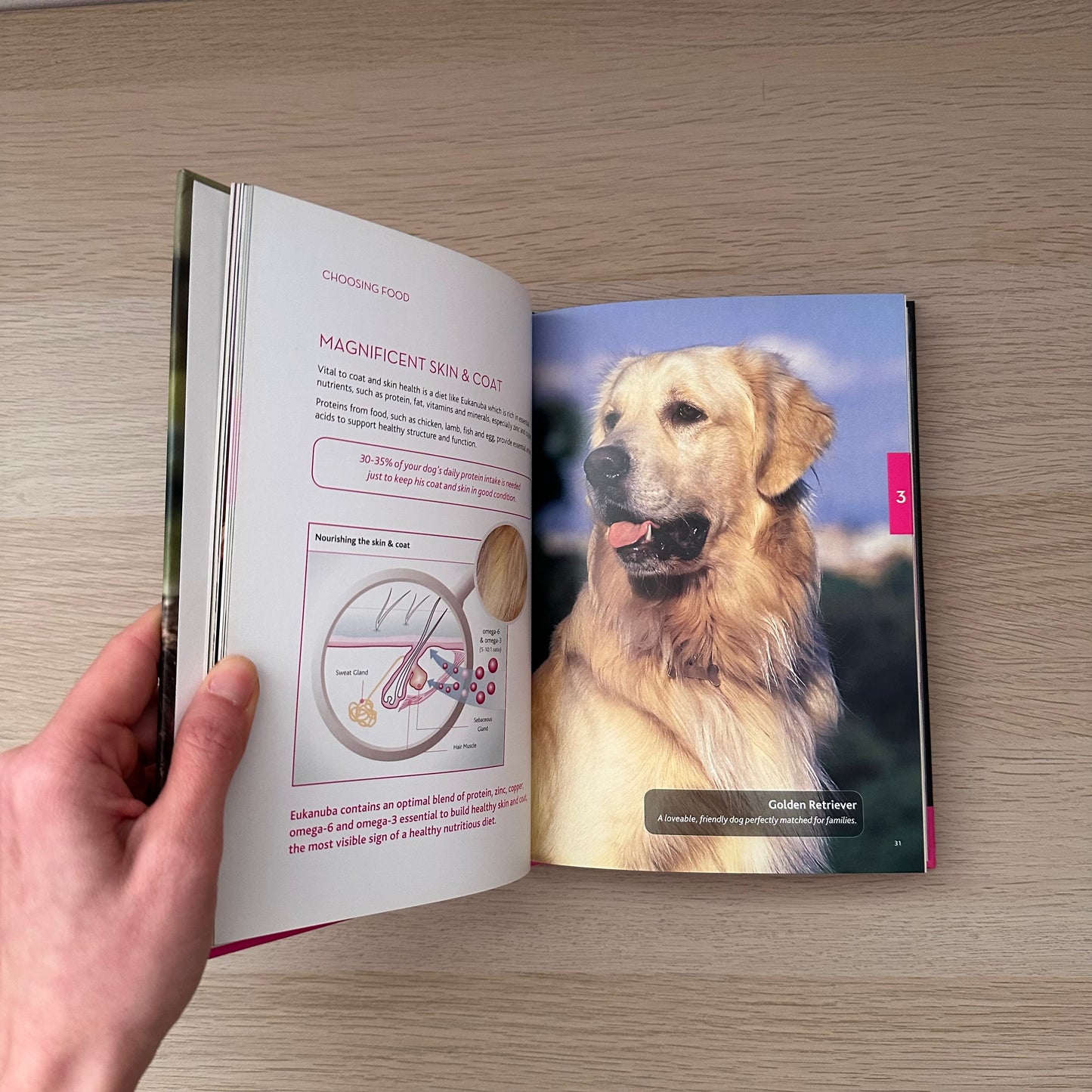 From Puppy Up: An Owner's Guide | Eukanuba