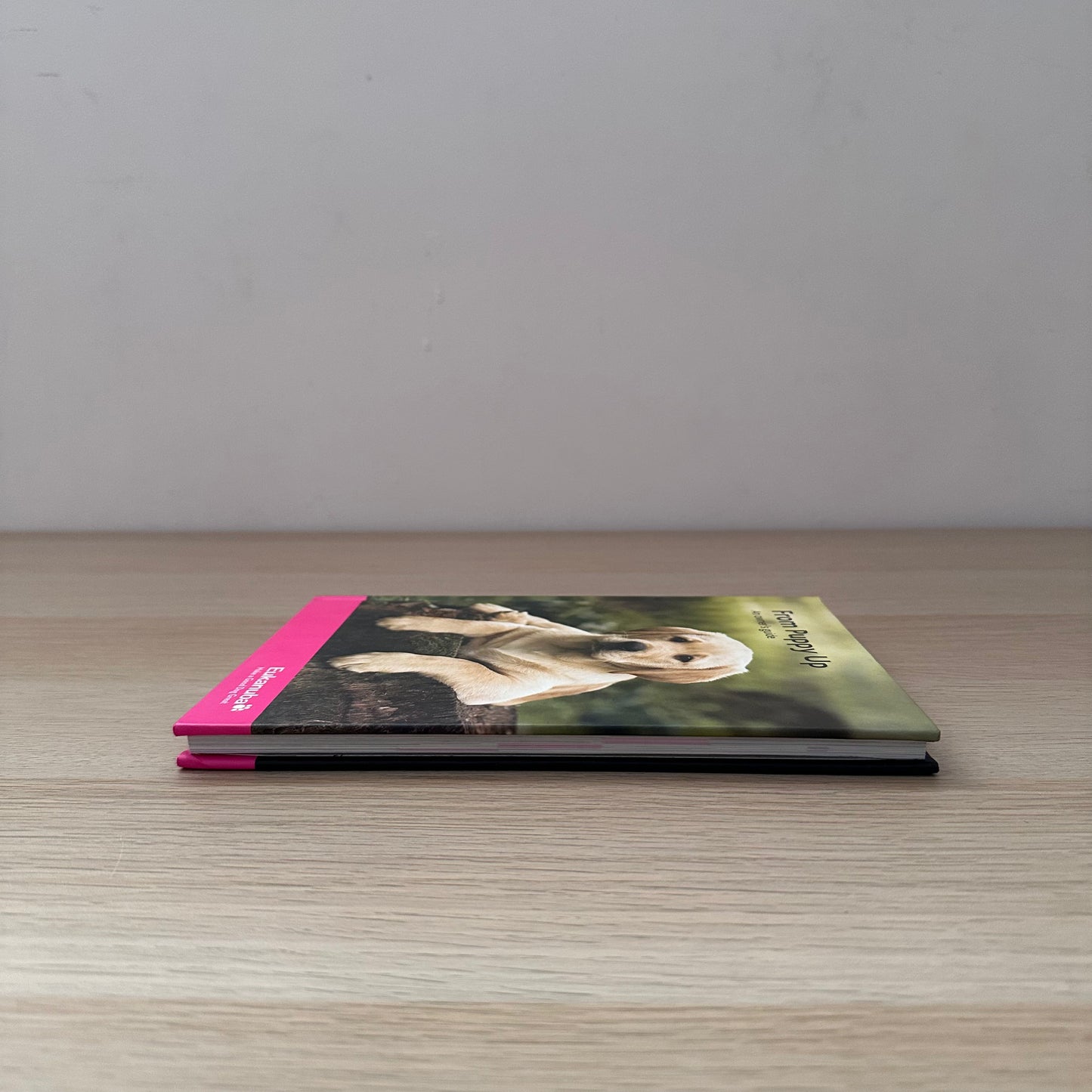 From Puppy Up: An Owner's Guide | Eukanuba