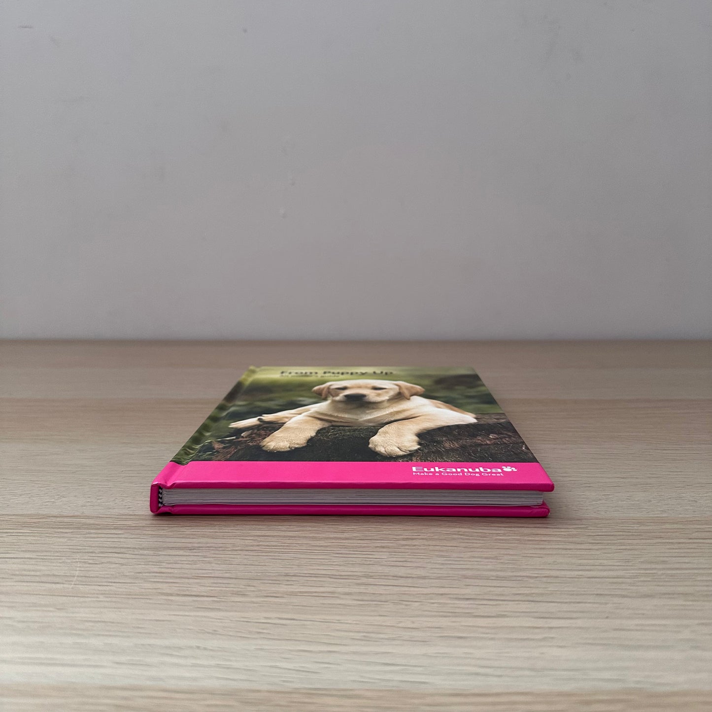 From Puppy Up: An Owner's Guide | Eukanuba