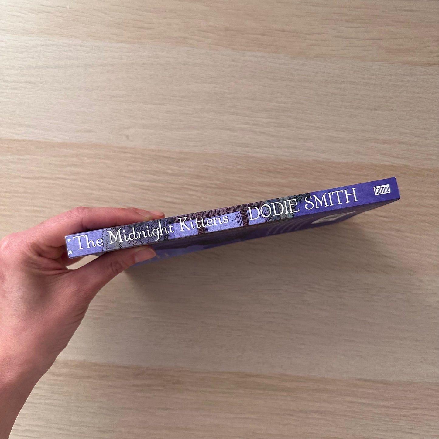 The Midnight Kittens | Paperback | Dodie Smith