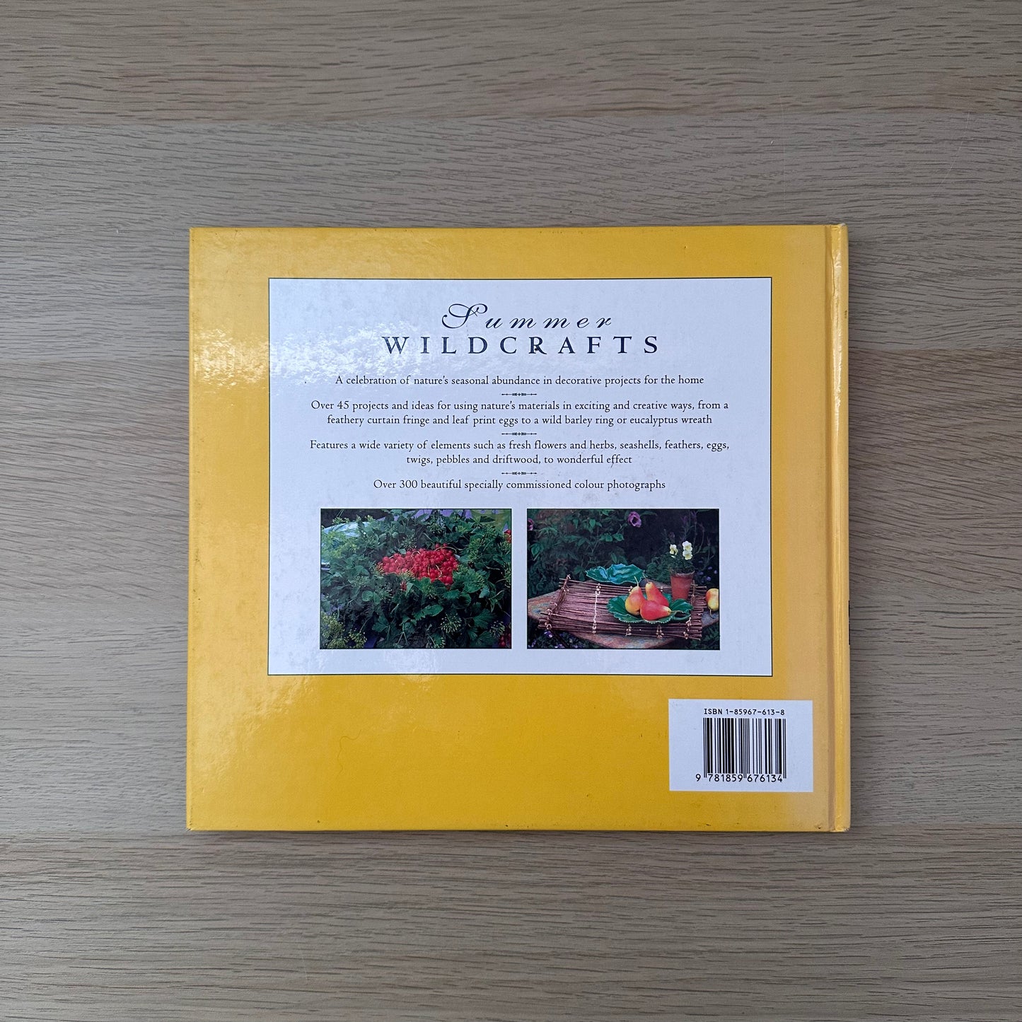 Summer Wildcrafts | Tessa Evelegh