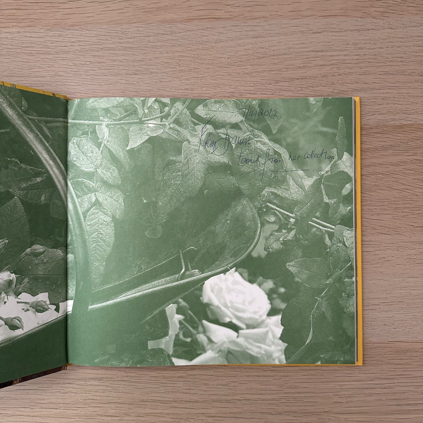 Summer Wildcrafts | Tessa Evelegh