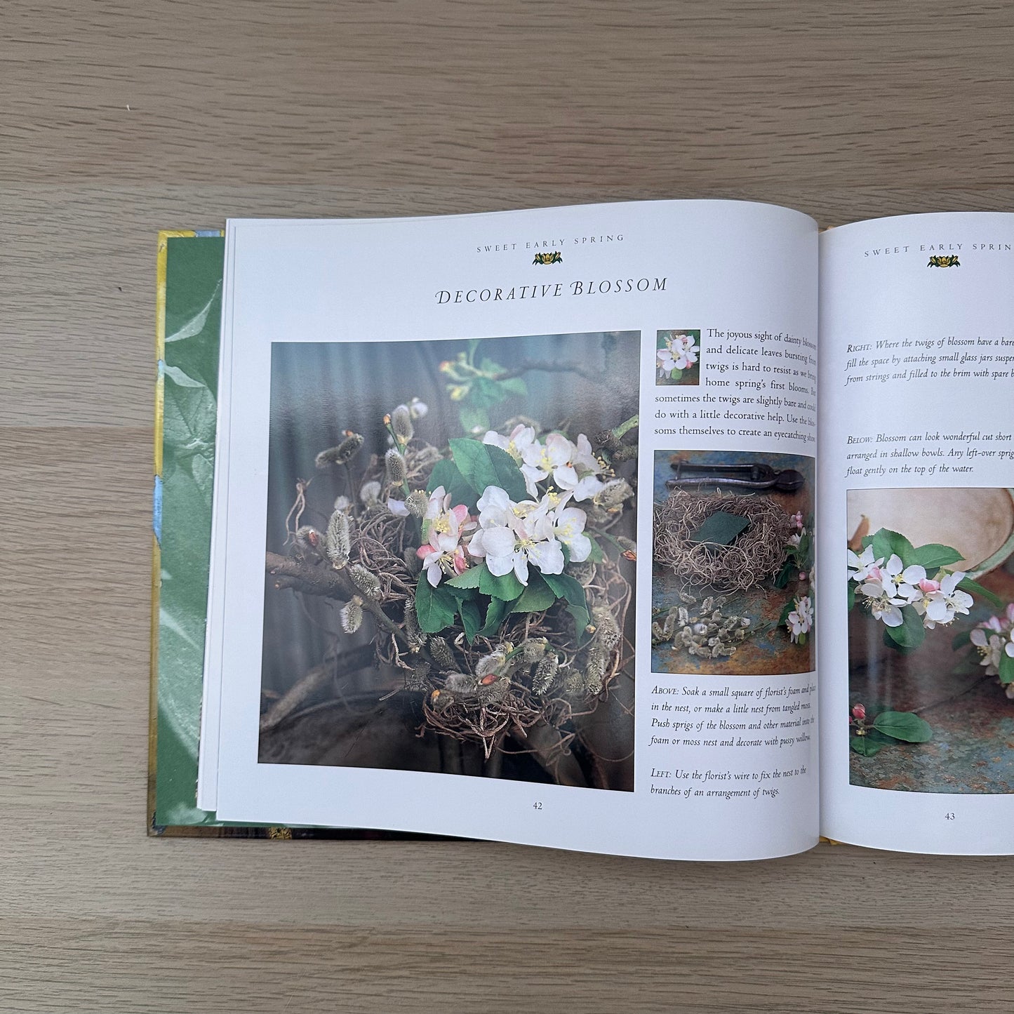 Summer Wildcrafts | Tessa Evelegh