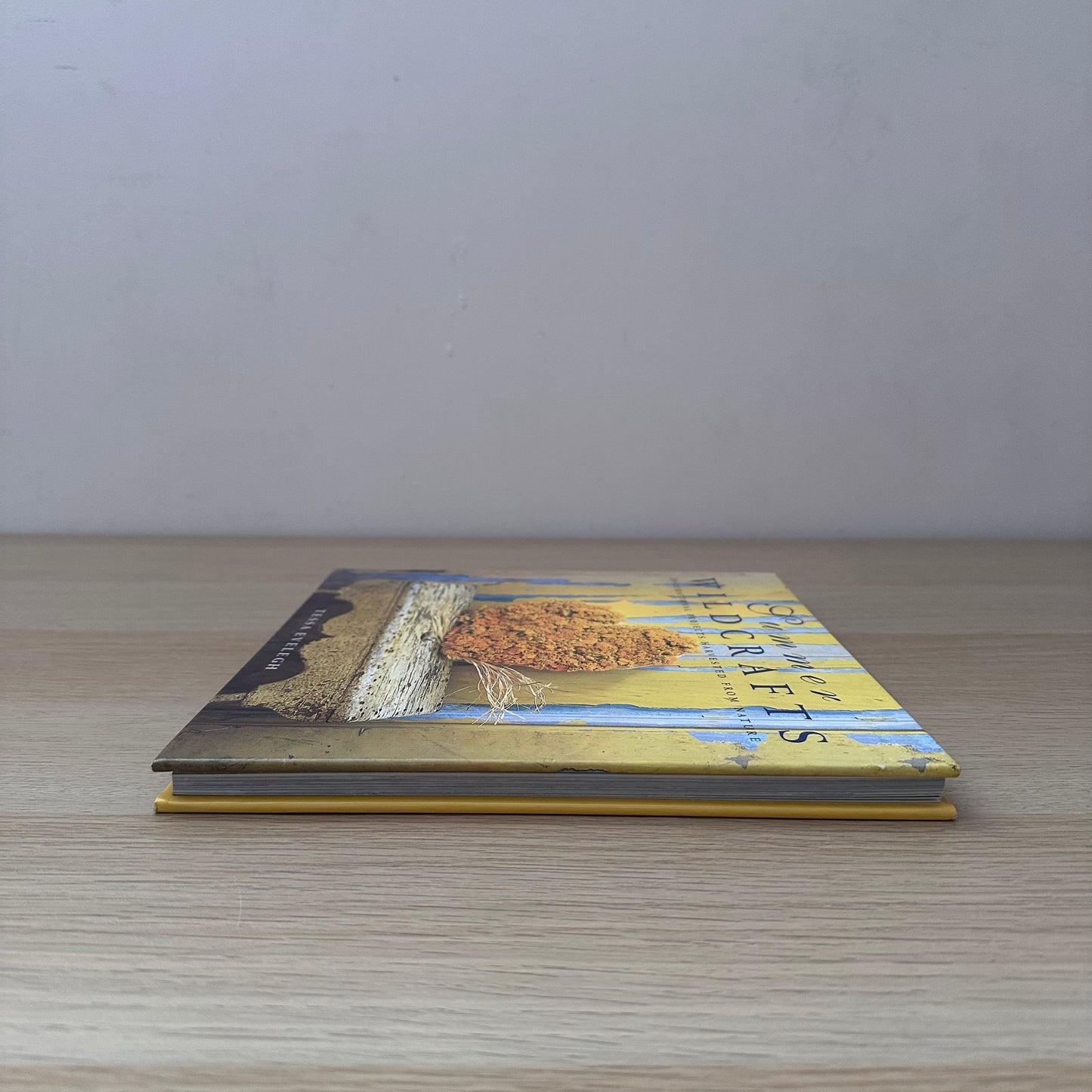 Summer Wildcrafts | Tessa Evelegh