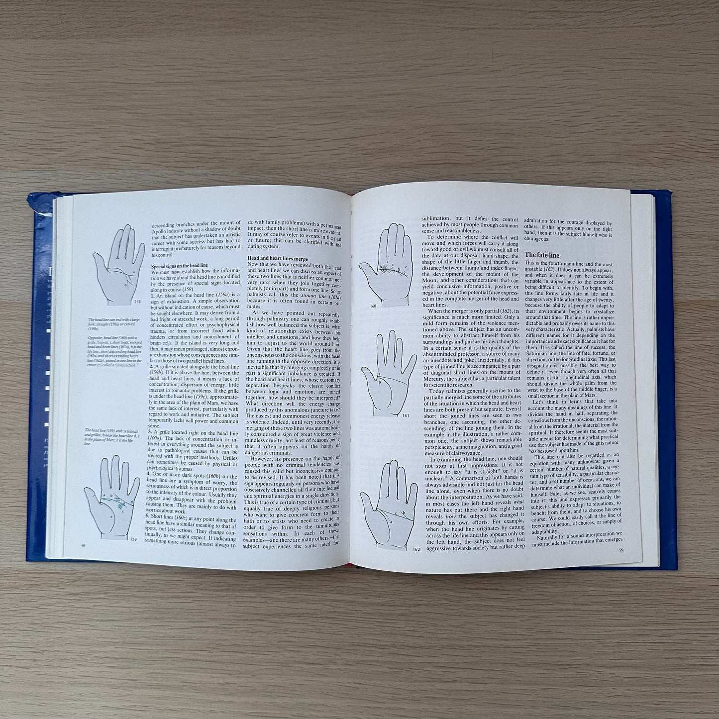 Palmistry | Maria Gardini