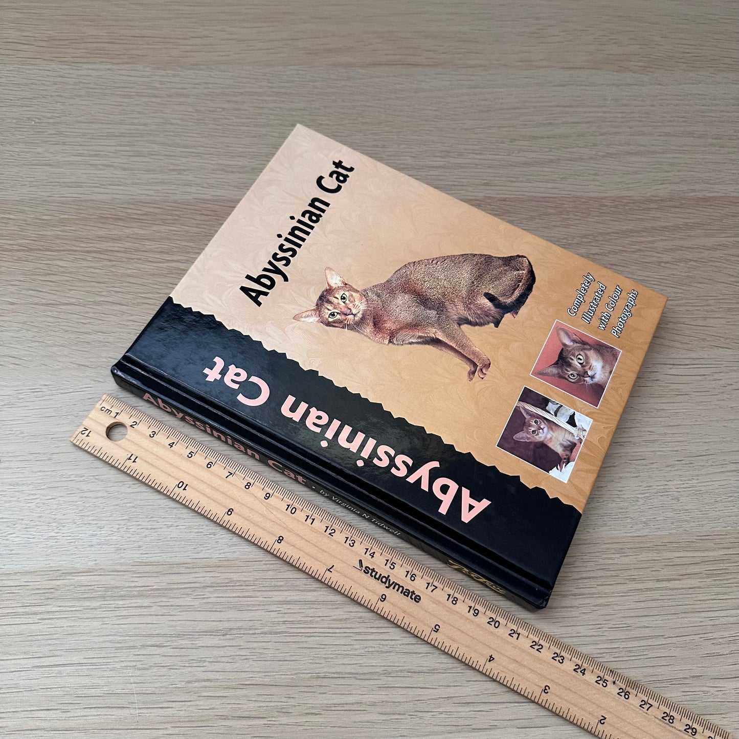 Abyssinian Cat | Virginia N. Tidwell