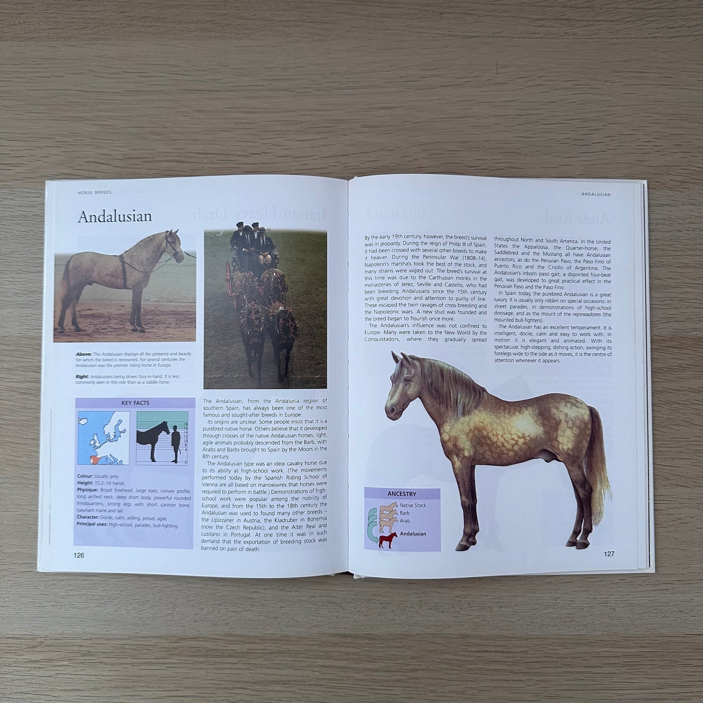 Horse Facts | Susan McBane & Helen Douglas-Cooper