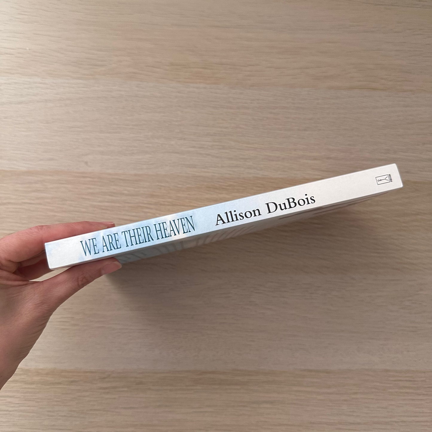 We are their Heaven | Paperback | Allison Dubois