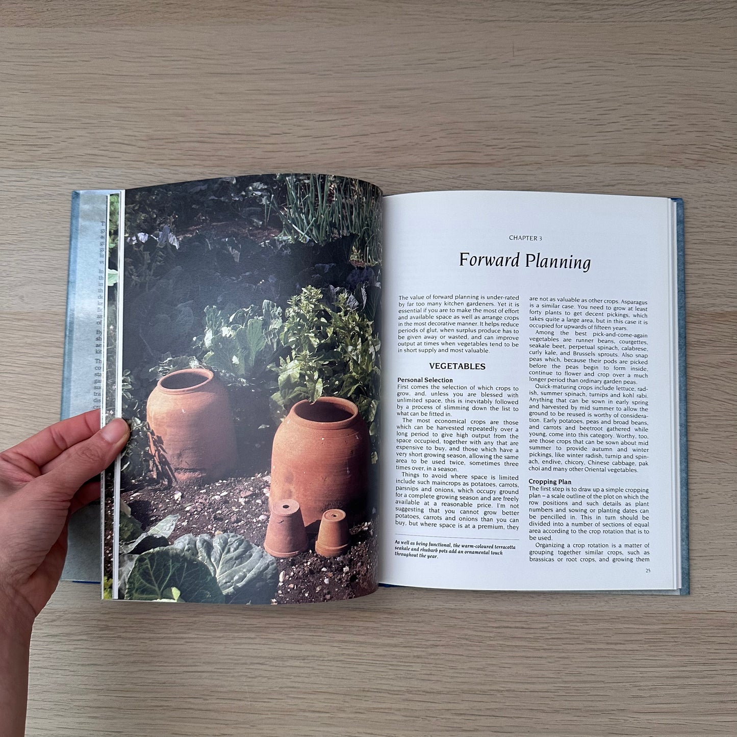 The Kitchen Gardener | 1992 | David Pople