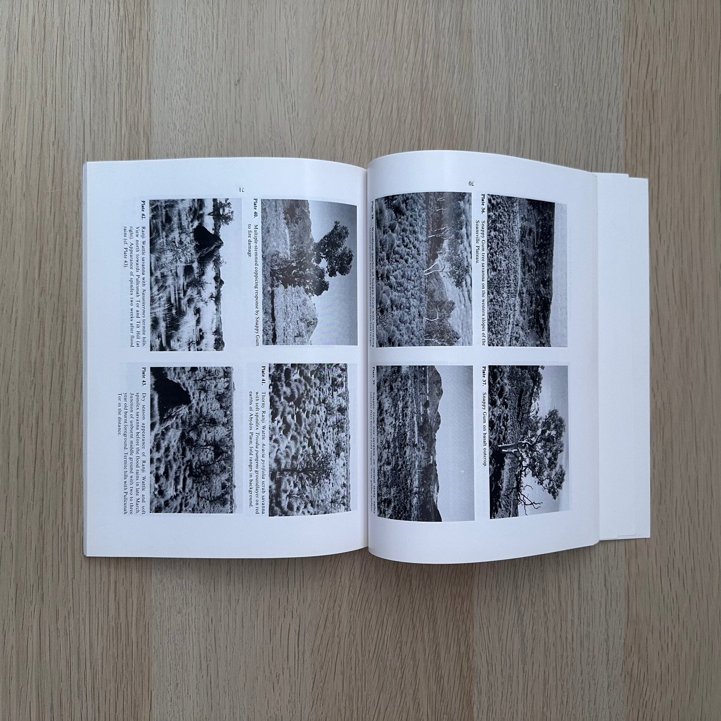 Ecological Survey of Abydos-Woodstock Reserve, Western Australia