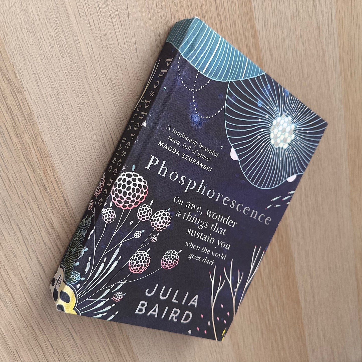 Phosphorescence | Hardcover | Julia Baird