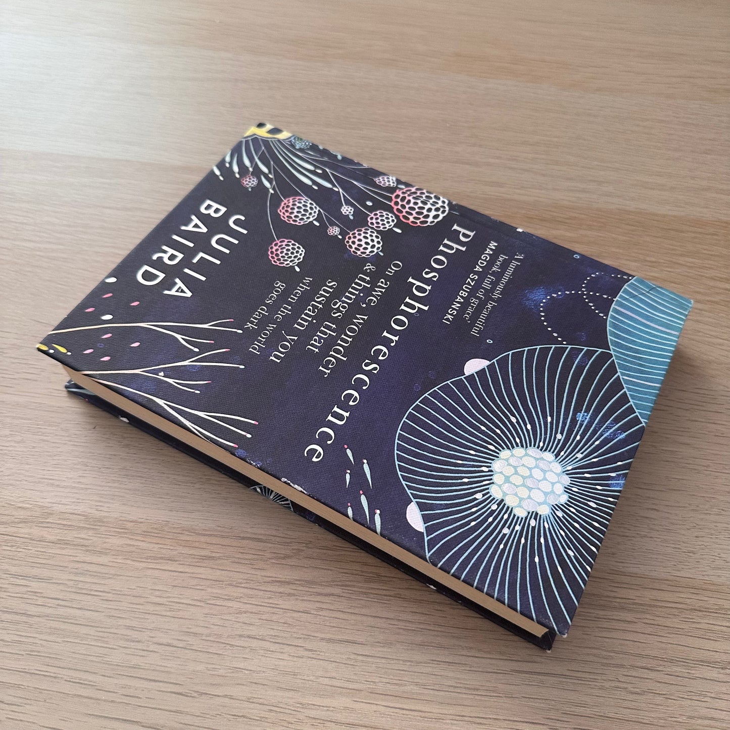 Phosphorescence | Hardcover | Julia Baird