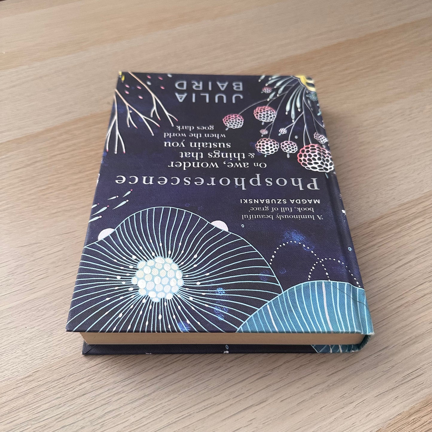 Phosphorescence | Hardcover | Julia Baird