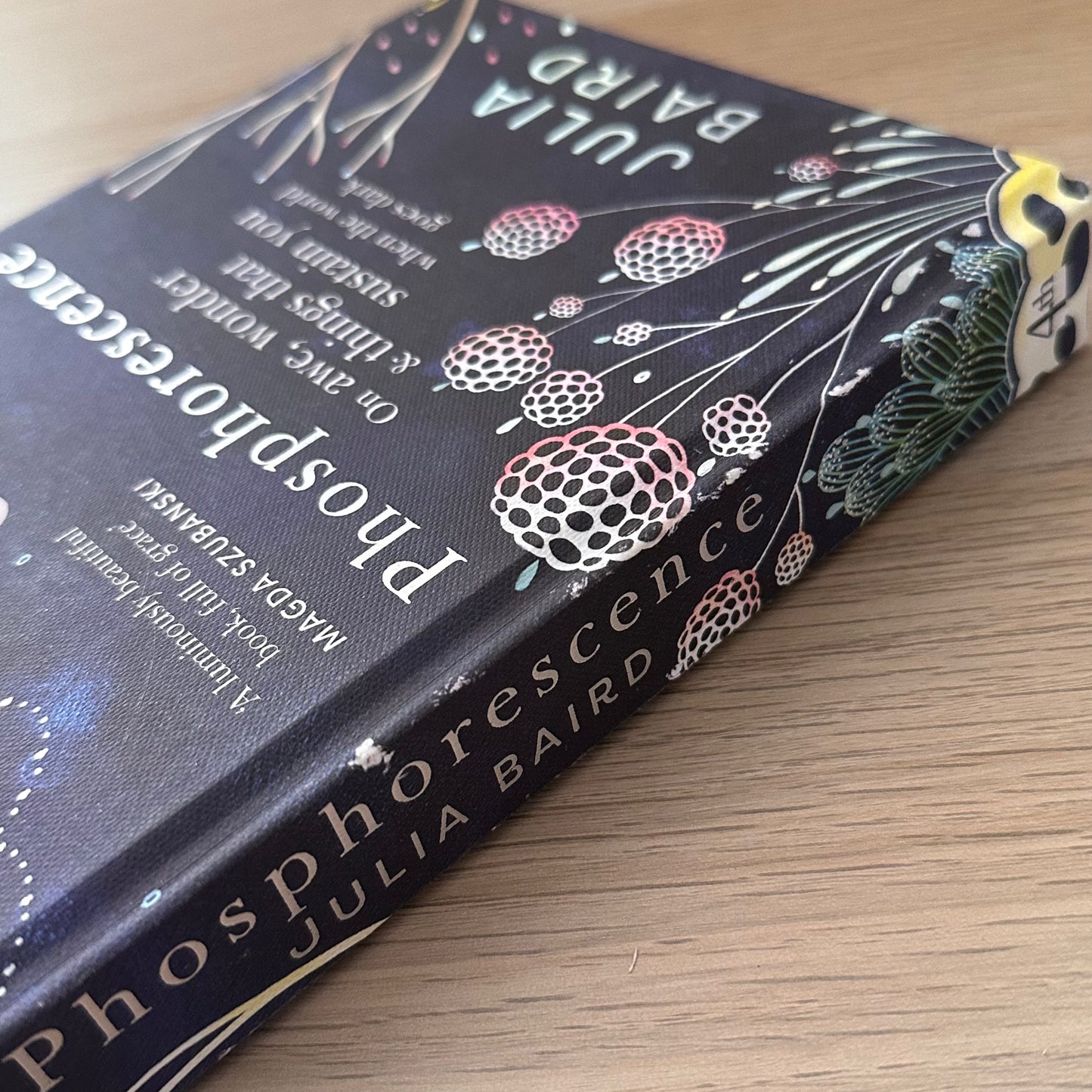 Phosphorescence | Hardcover | Julia Baird
