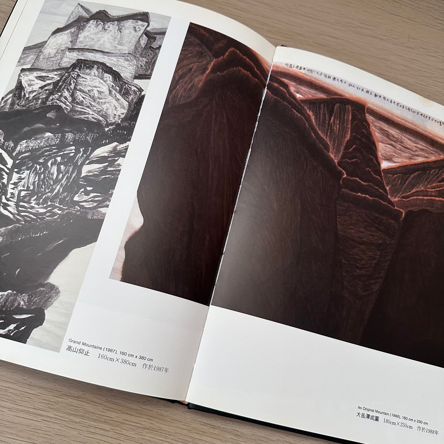 The Life and Works of Jia Youfu | 1990 | Contemporary Chinese Artists