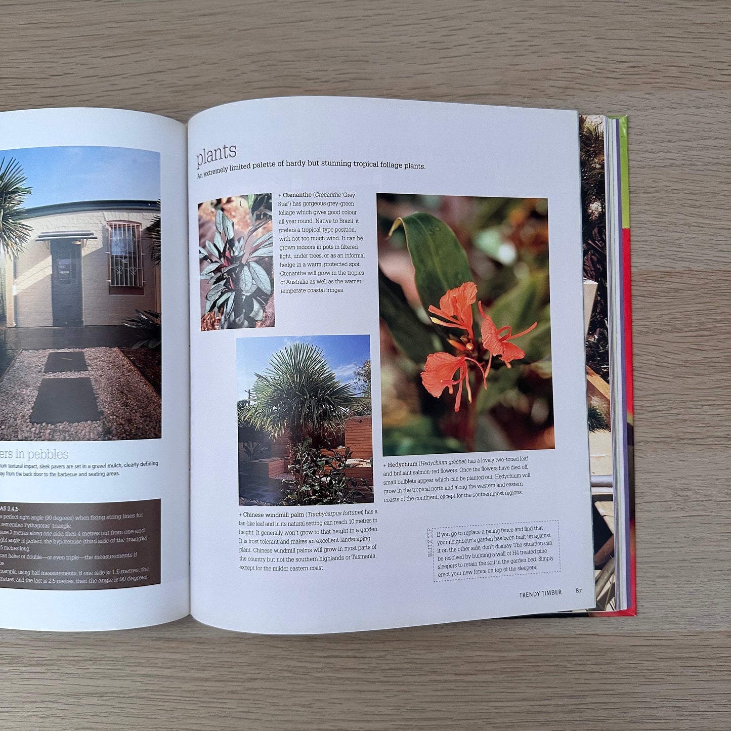 Backyard Blitz | Renovation TV Show | ACP Books