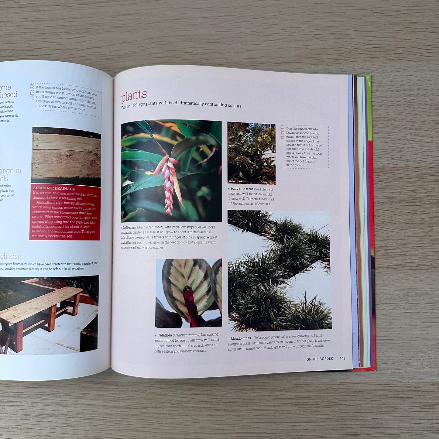 Backyard Blitz | Renovation TV Show | ACP Books