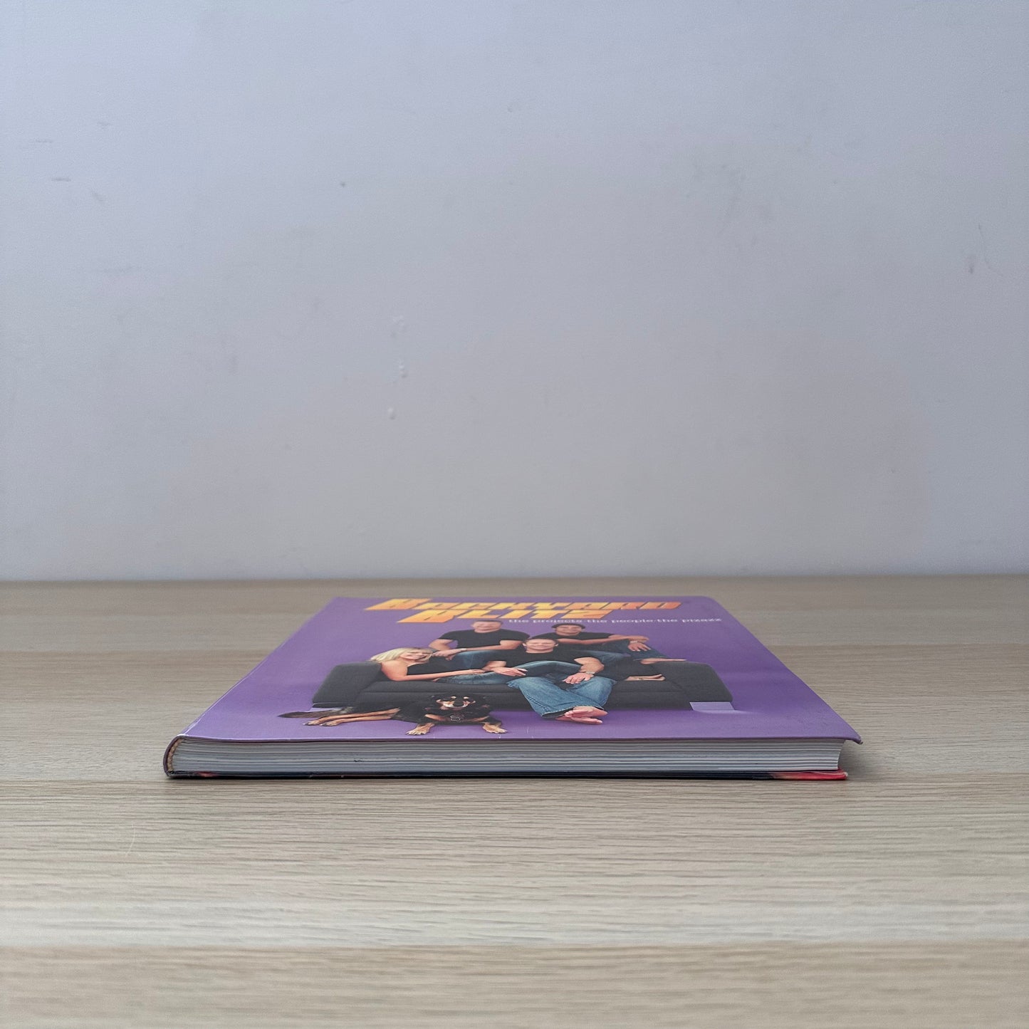 Backyard Blitz | Renovation TV Show | ACP Books