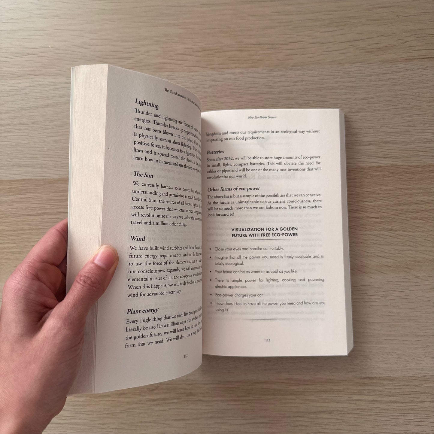 The Golden Future | Paperback | Diana Cooper