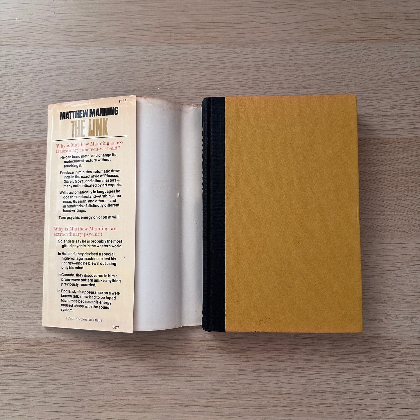 The Link | Hardcover | Matthew Manning