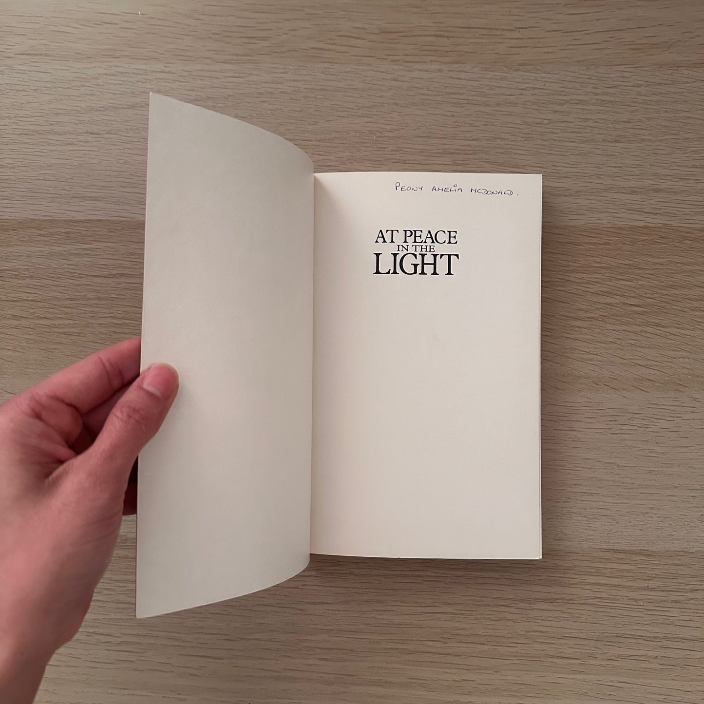 At Peace in the Light | Paperback | Dannion Brinkley