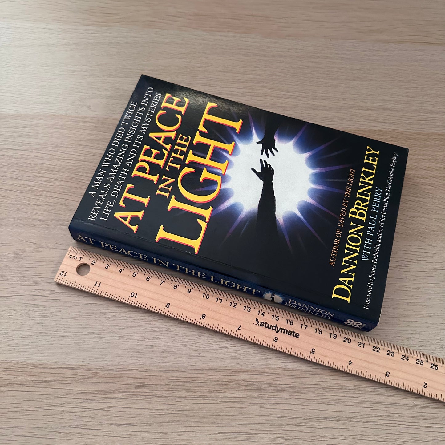 At Peace in the Light | Paperback | Dannion Brinkley
