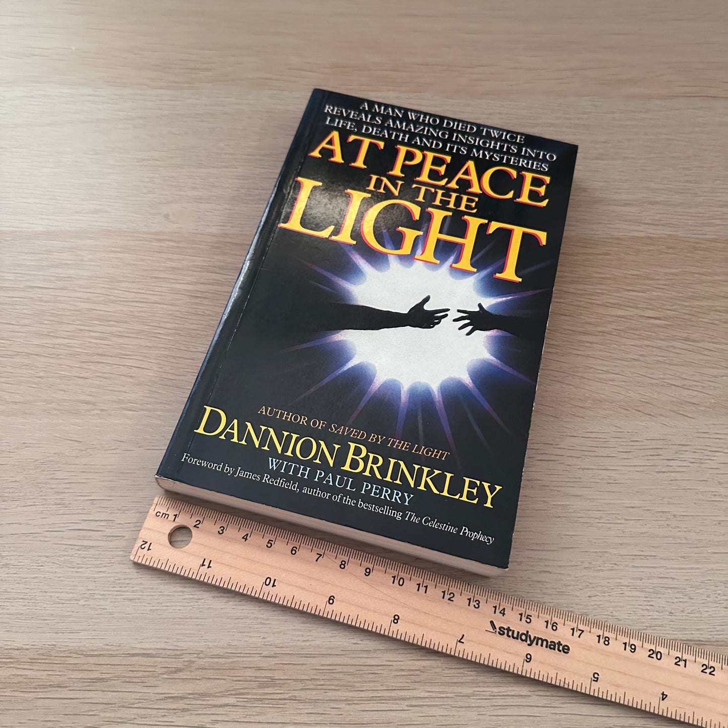 At Peace in the Light | Paperback | Dannion Brinkley