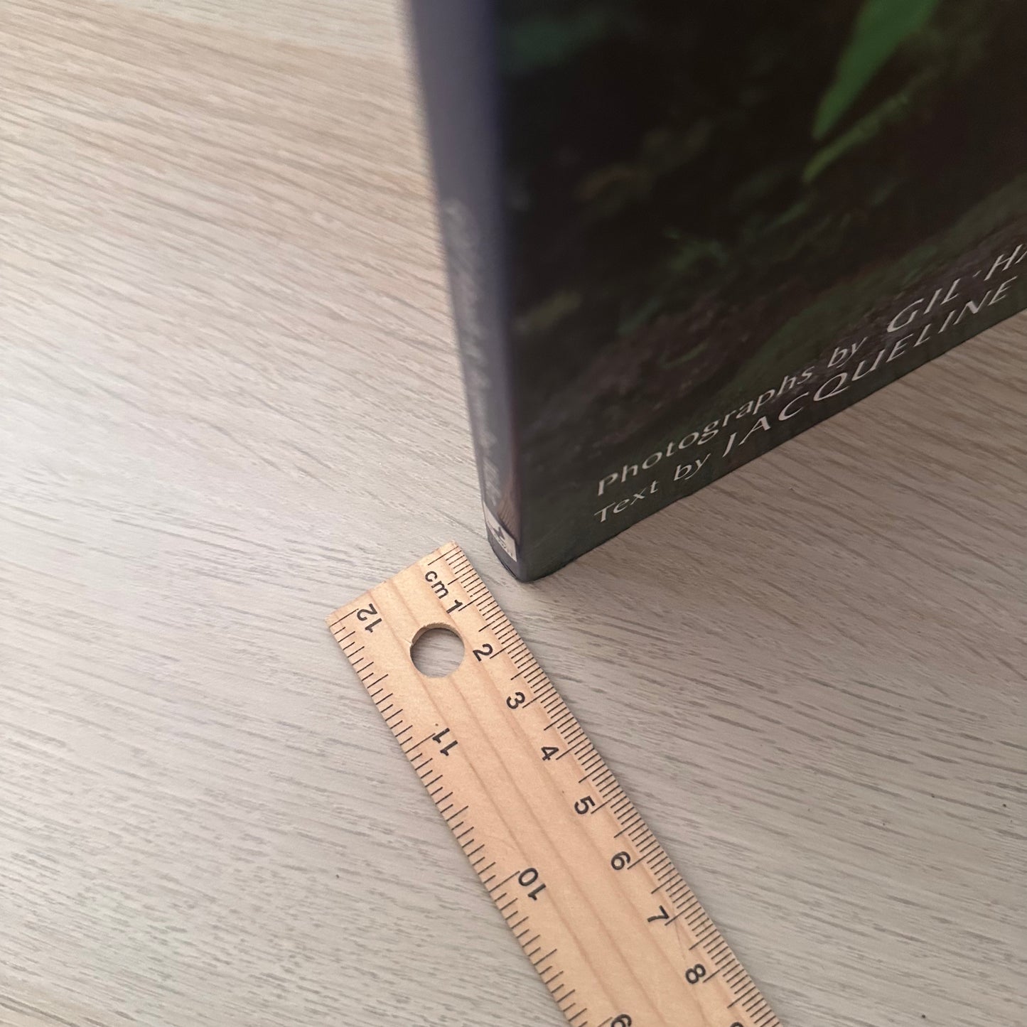 The Subtropical Garden | Gil Hanly And Jacqueline Walker