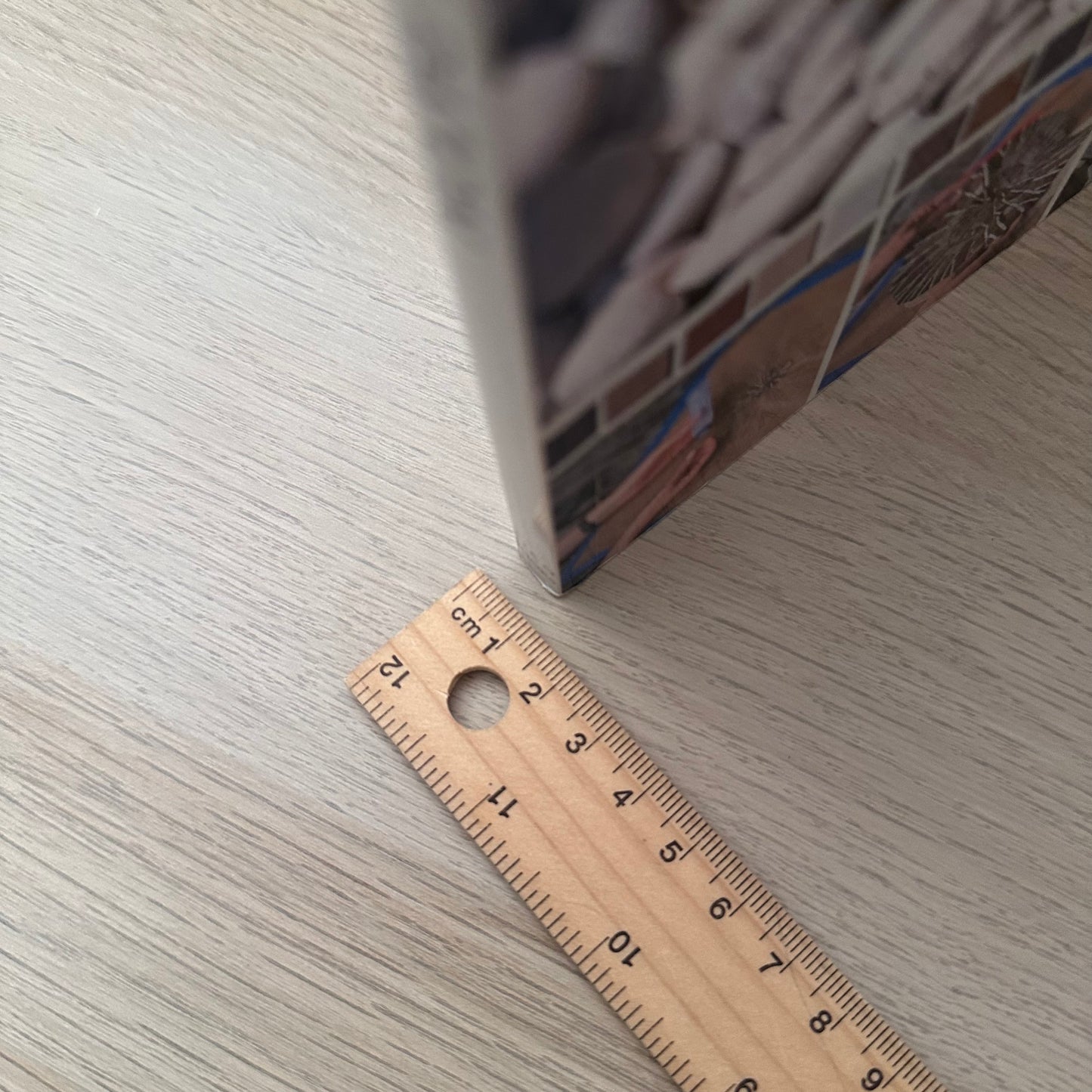 Garden Mosaics | 2004 | Becky Paton