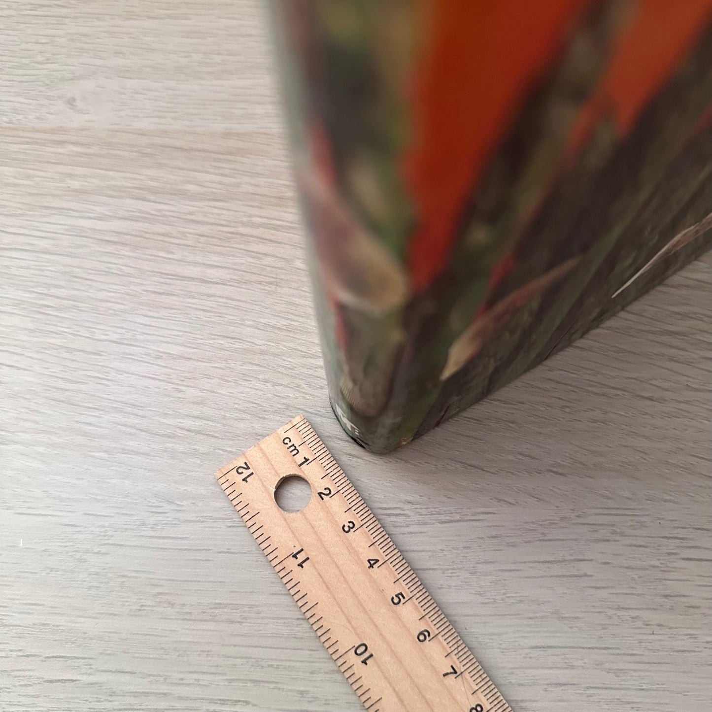 The Essential Vegetarian Cookbook