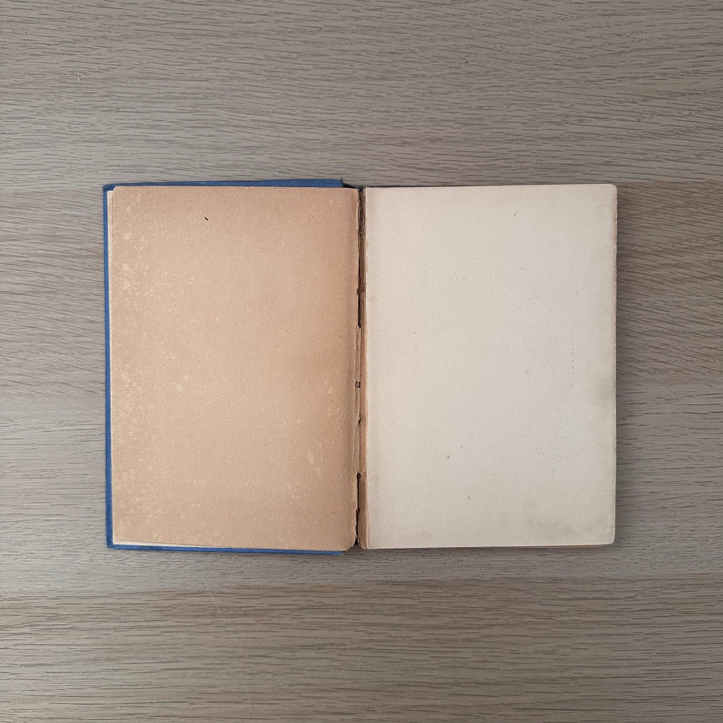 Bob's Trials and Tests | M.E. Ropes