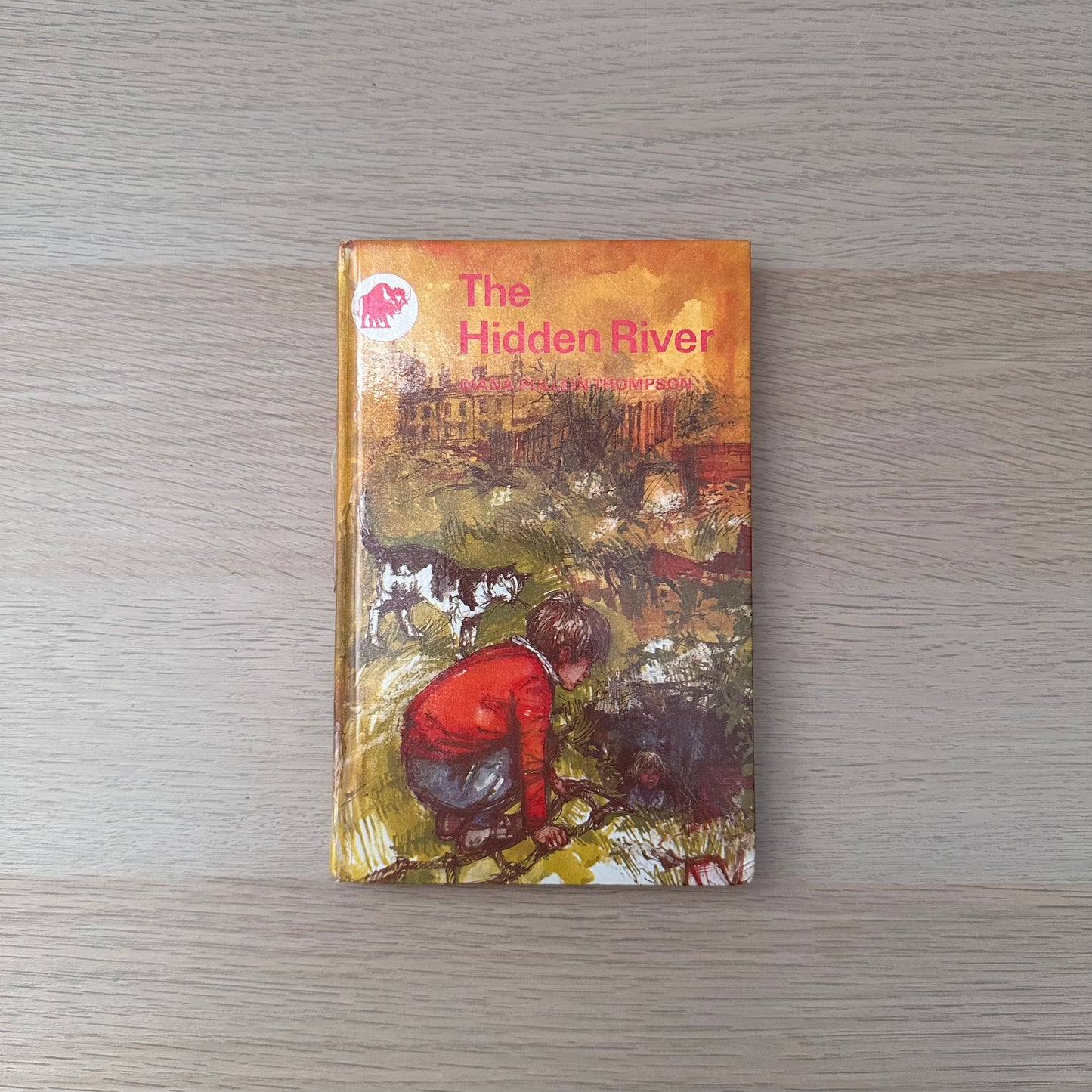 The Hidden River | 1967 | Diana Pullein-Thompson