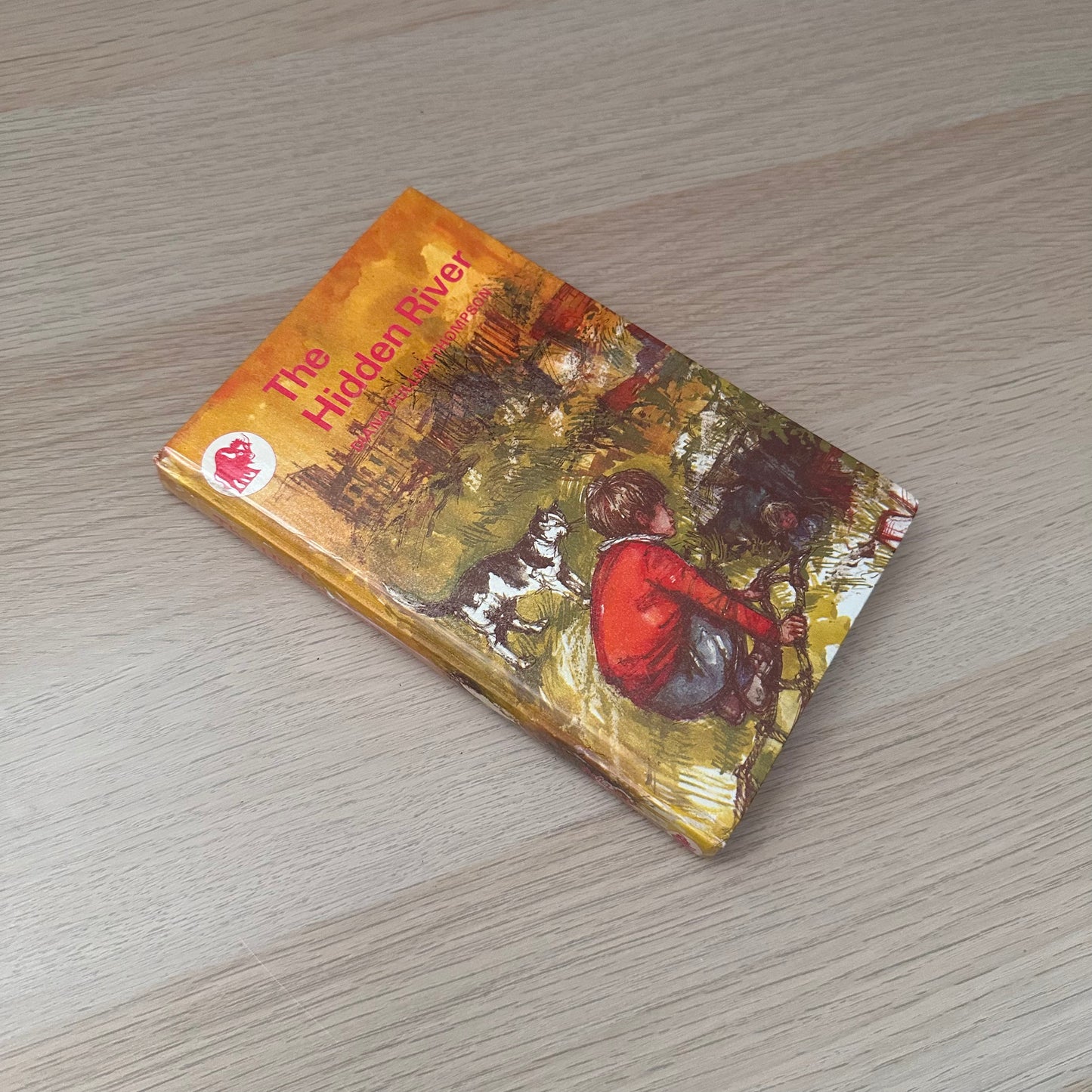 The Hidden River | 1967 | Diana Pullein-Thompson