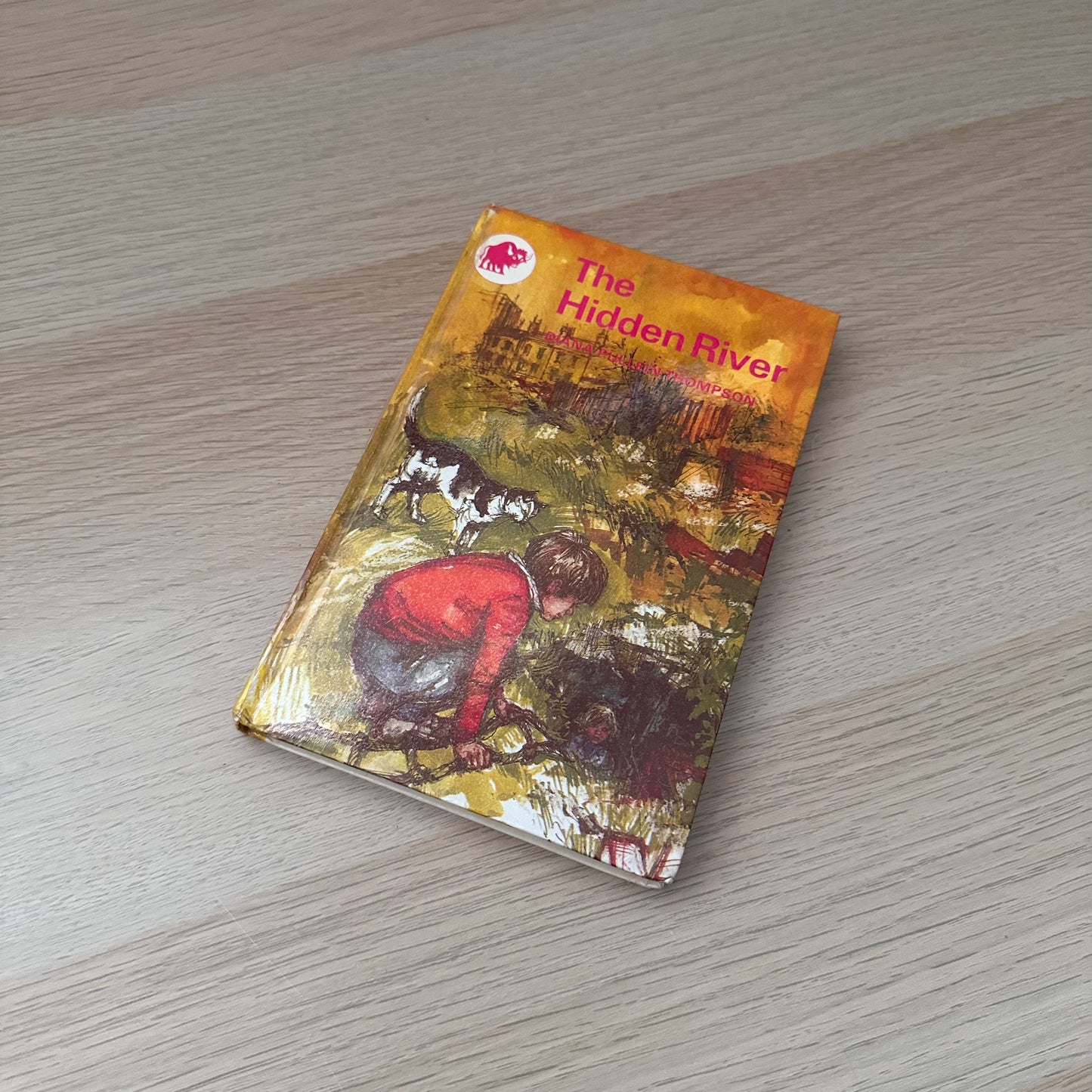 The Hidden River | 1967 | Diana Pullein-Thompson