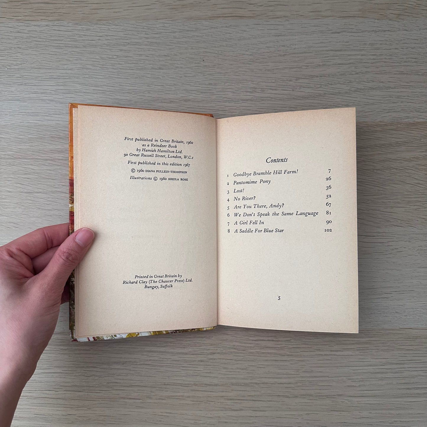 The Hidden River | 1967 | Diana Pullein-Thompson