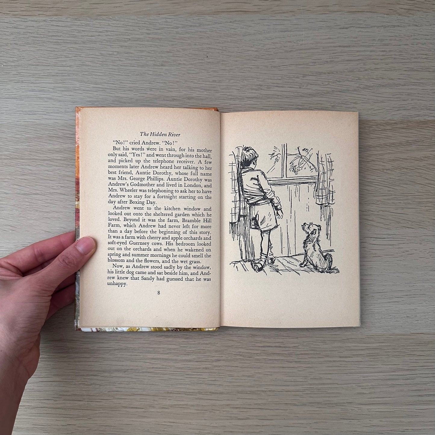 The Hidden River | 1967 | Diana Pullein-Thompson