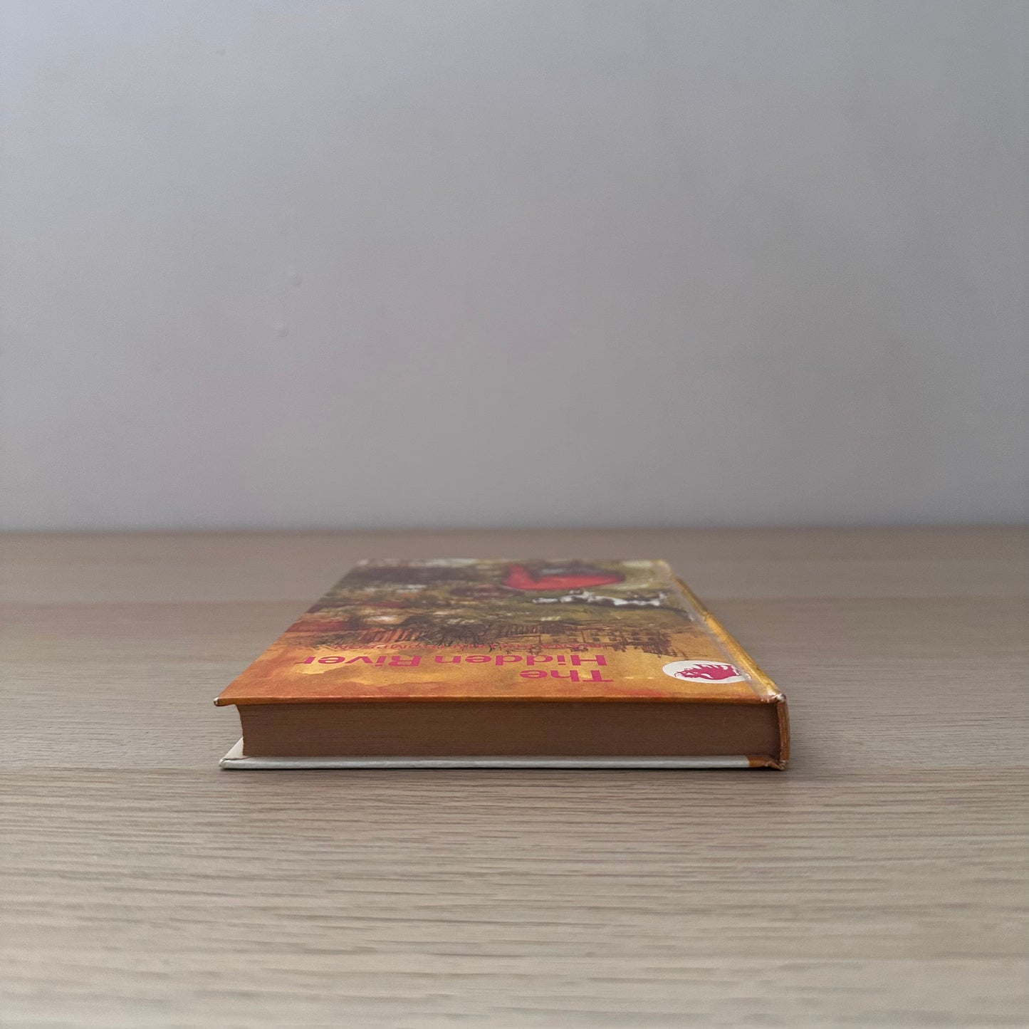 The Hidden River | 1967 | Diana Pullein-Thompson