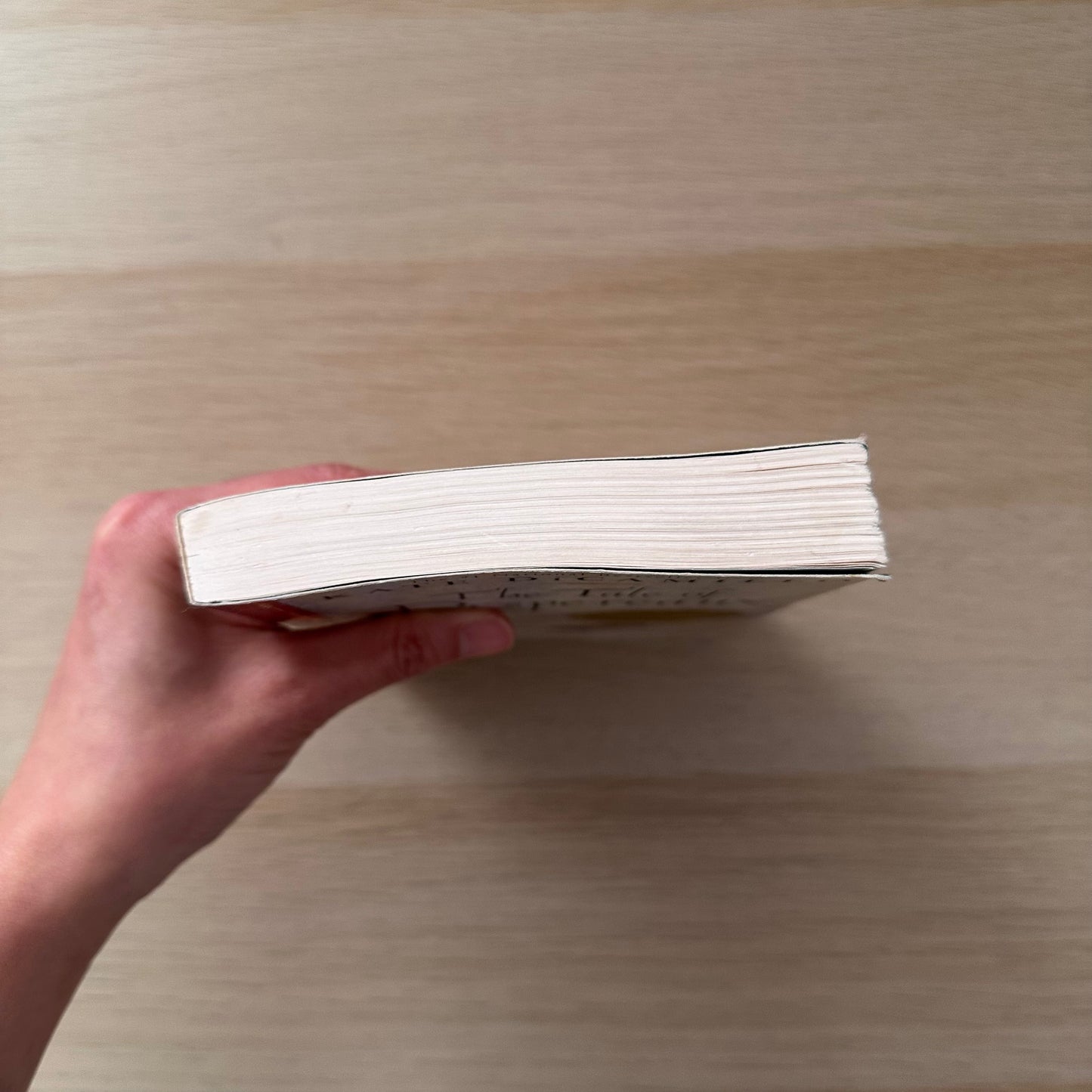 The Tale of Despereaux | Paperback | Kate DiCamillo