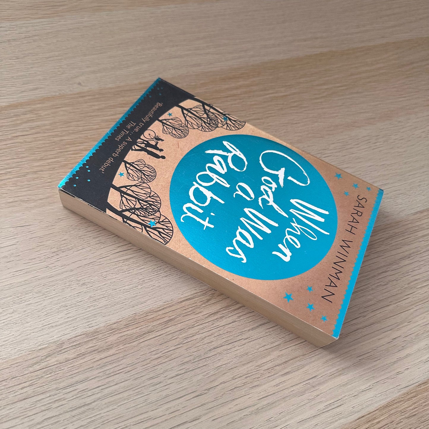 When God Was a Rabbit | Paperback | Sarah Winman
