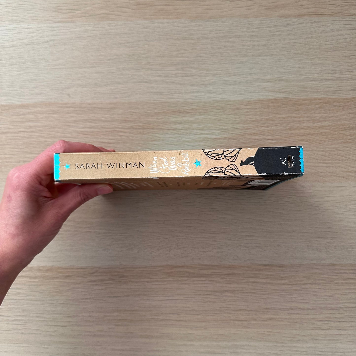 When God Was a Rabbit | Paperback | Sarah Winman