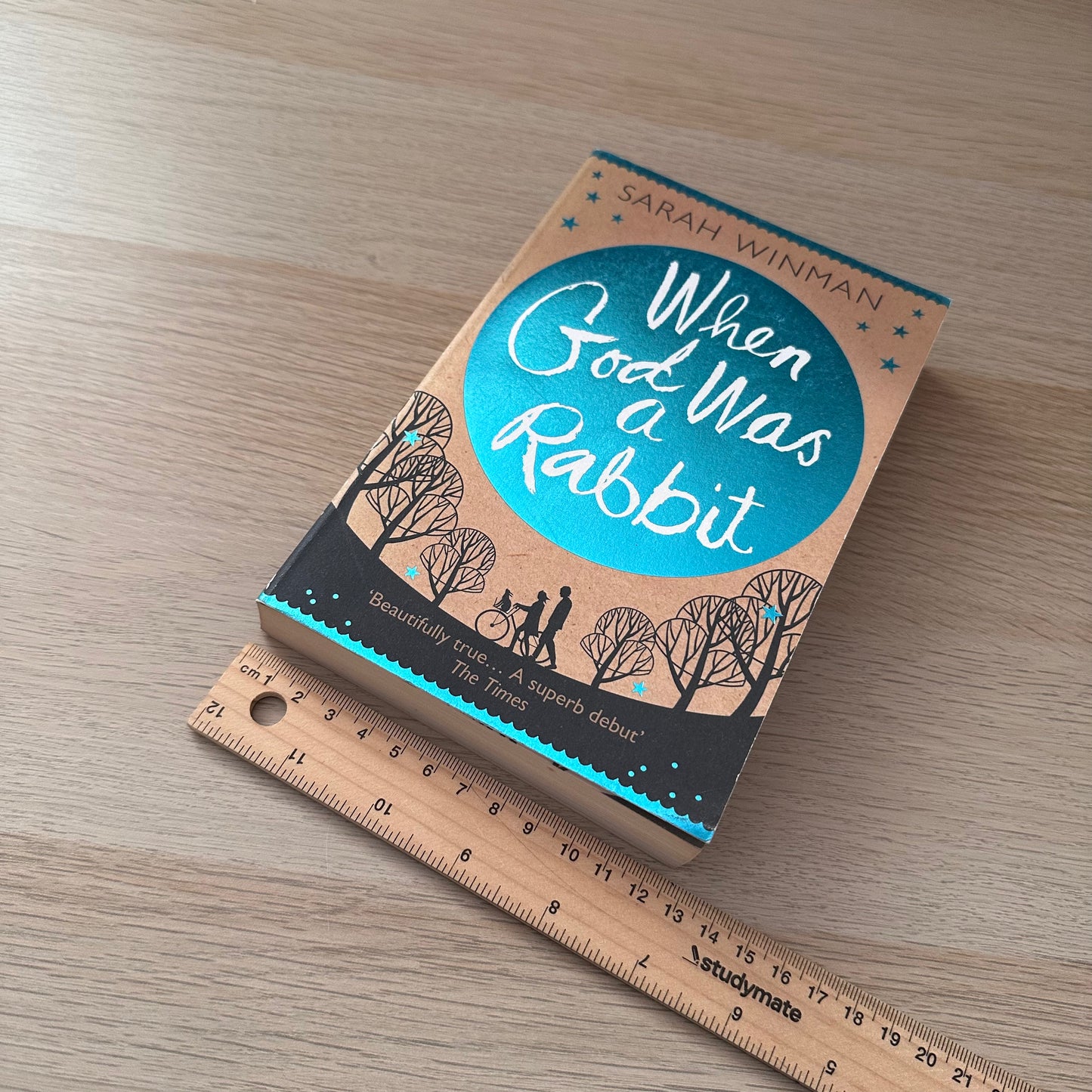 When God Was a Rabbit | Paperback | Sarah Winman