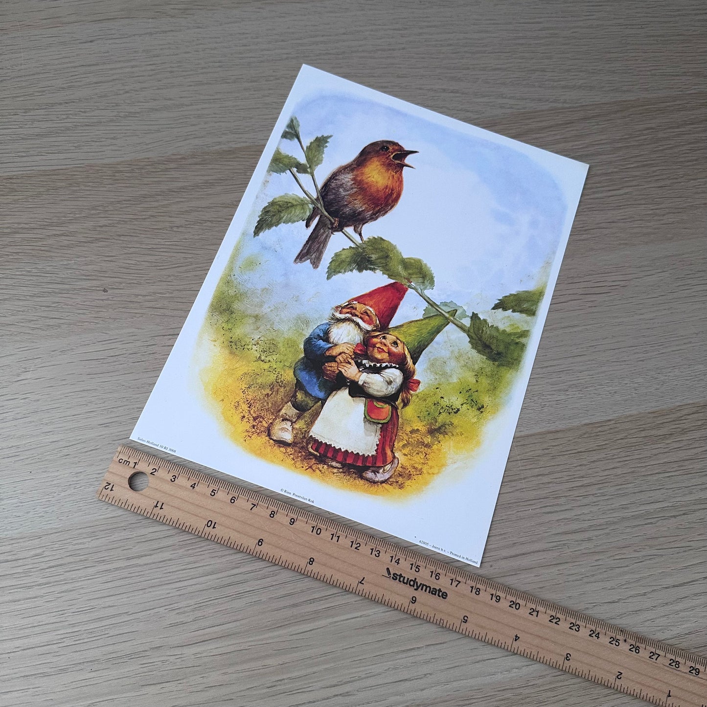 Rien Poortvliet #1 | Gnomes & Bird | 1980s | Art Print
